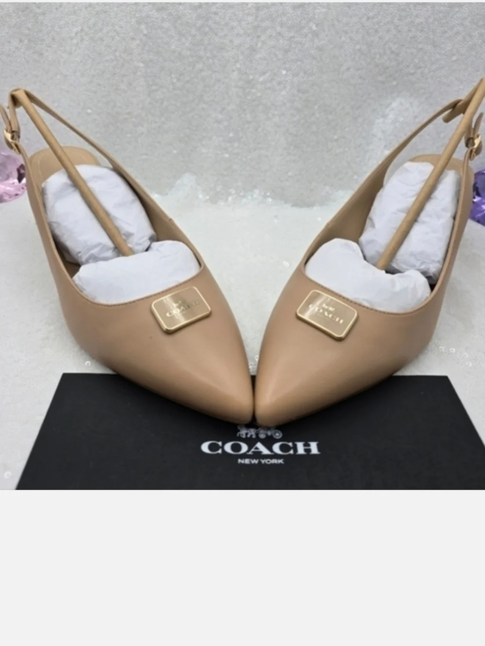 Coach Jillian Slingback Classic Closed toe Low Heel Neutral color Women's 9.5